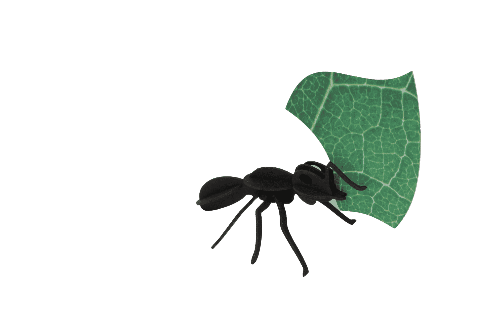 Paper Leafcutter Ants - Image 3