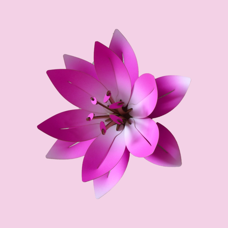 Assembli category botanica wall flower
