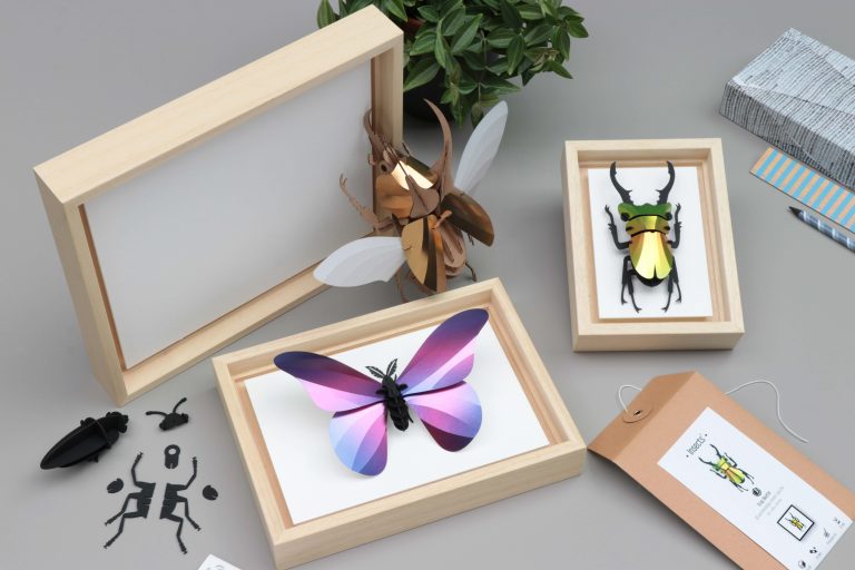 Assembli frames wooden low