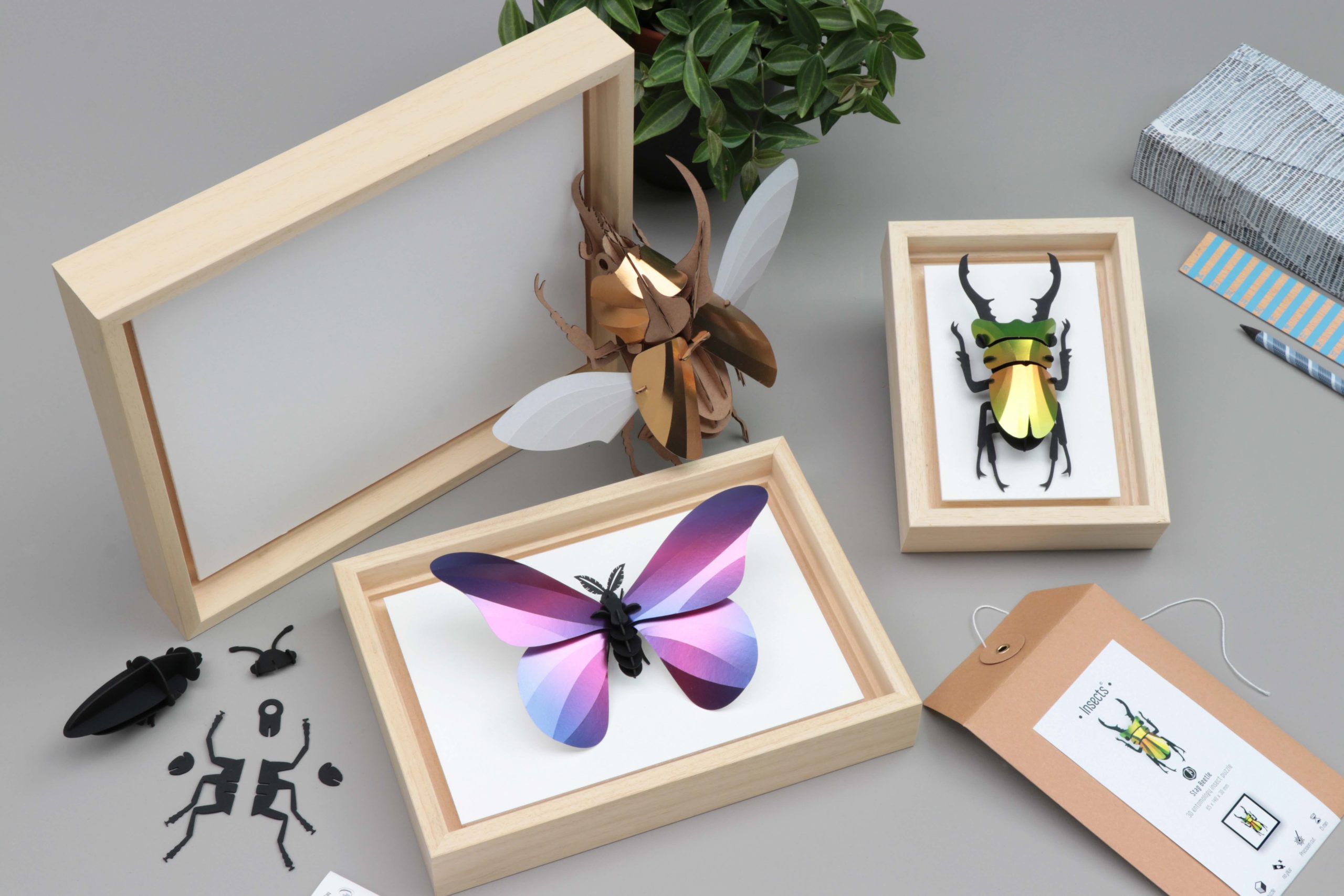 Assembli frames wooden low
