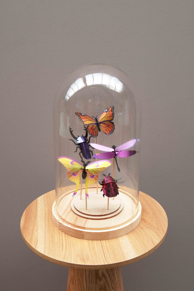 Assembli Mixed Insect Set purple dome