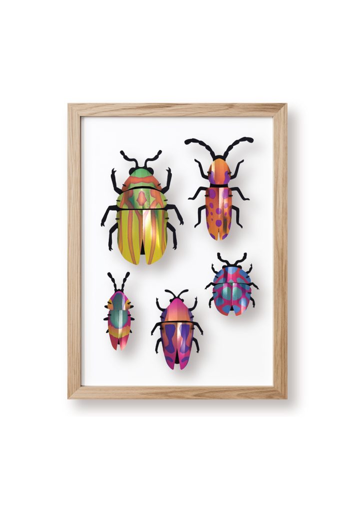 Assembli Beetle Set orange blend clipped