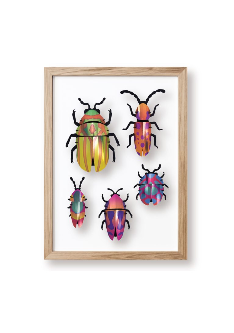 Assembli Beetle Set orange blend clipped