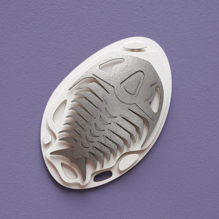 assembli trilobite fossil silver