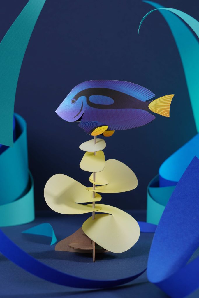 Assembli Fish Blue Tang splashmeer Assembli Fish Blue Tang splash