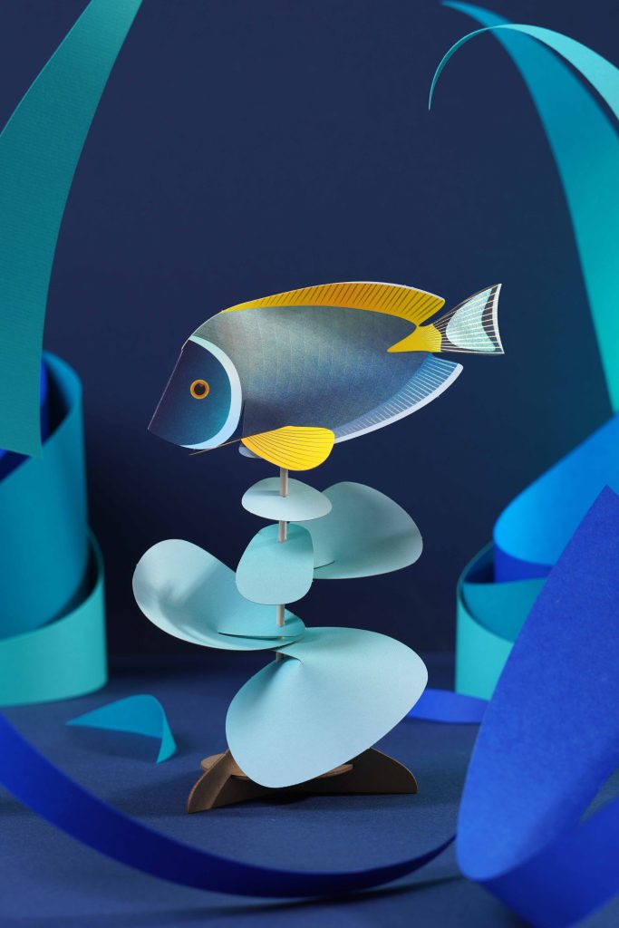 Assembli Fish Powder Tang splashmeer Assembli Fish Powder Tang splash