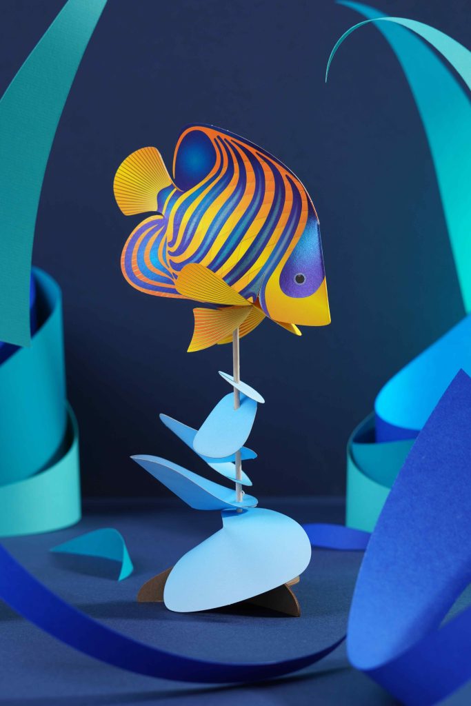 Assembli Fish Regal Angelfish splashmeer Assembli Fish Regal Angelfish splash