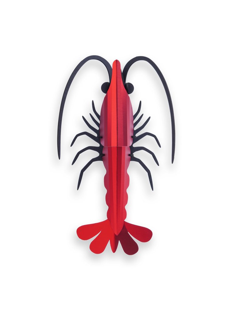 Assembli-Shrimp-redmeer Assembli-Shrimp-red